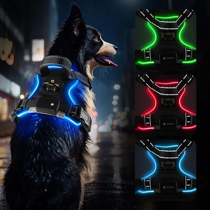 MASBRILL Light Up Dog Harness - No Pull Led Dog Harness Rechargeable Adjustable Lighted Dog Vest Harness for Small Medium Large Dogs